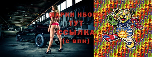 шишки Алзамай