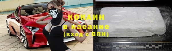 шишки Алзамай