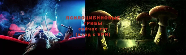 Альфа ПВП Осташков