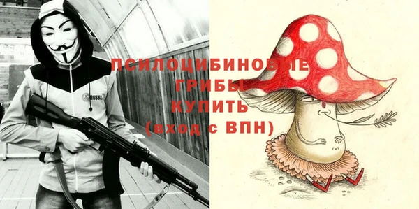 прущие грибы Алексеевка